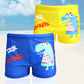 Kids  Boys Print Swimwear Baby Boys Swimming Trunks Set Beach Short for Toddler Boys